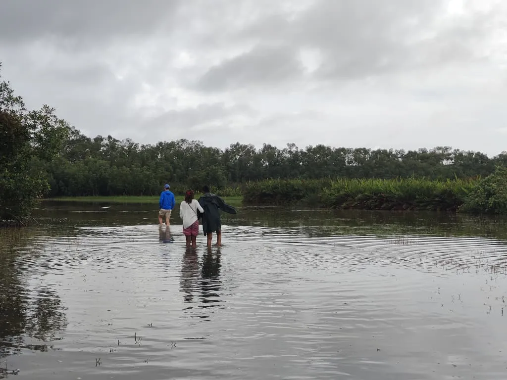 Famille marchant dans l'eau des mangroves, excursion Akwaba Travel
