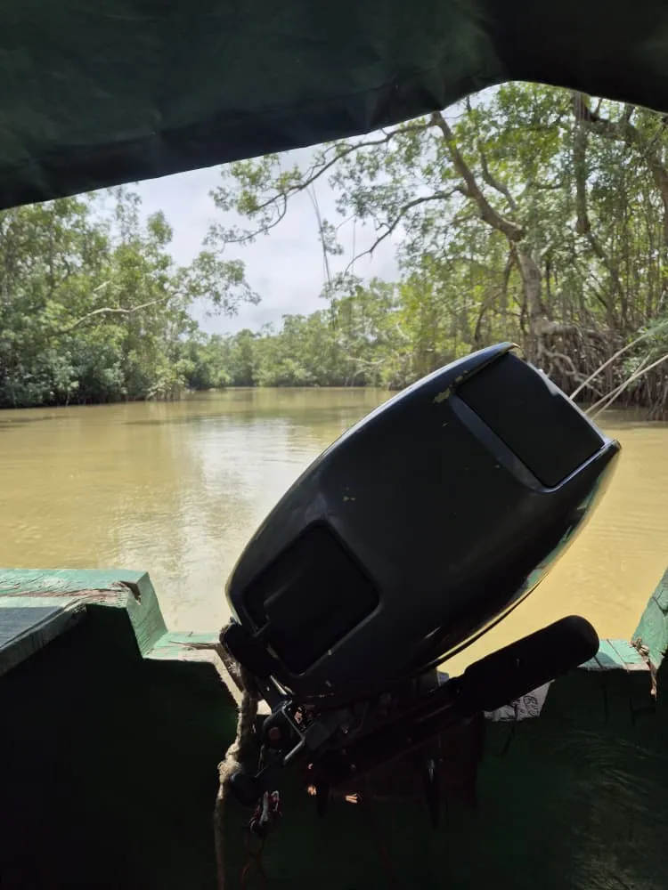 pirogue_moteur